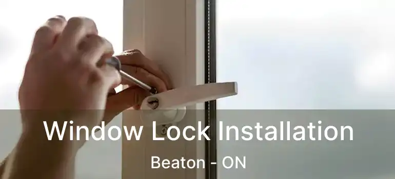  Window Lock Installation Beaton - ON