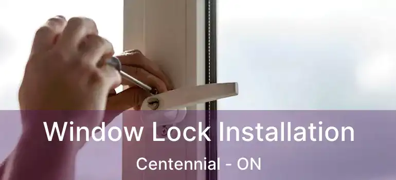  Window Lock Installation Centennial - ON