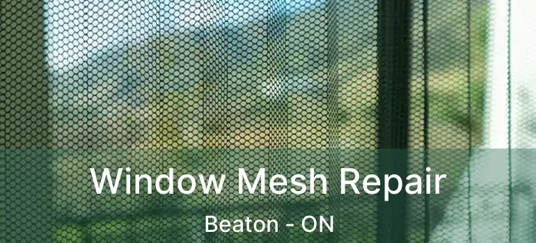  Window Mesh Repair Beaton - ON