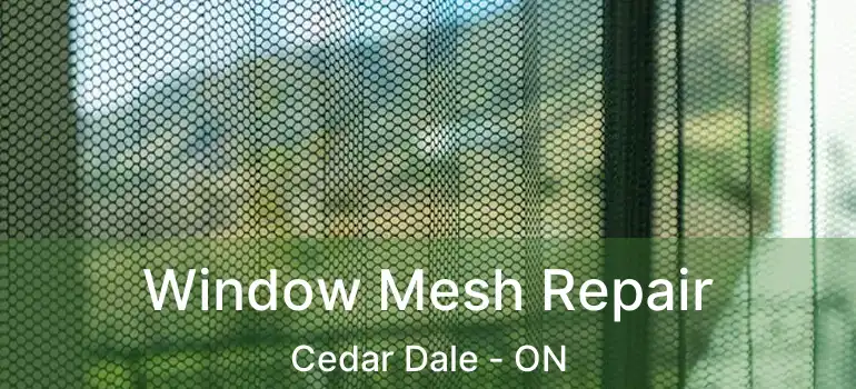  Window Mesh Repair Cedar Dale - ON