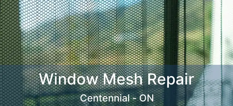  Window Mesh Repair Centennial - ON