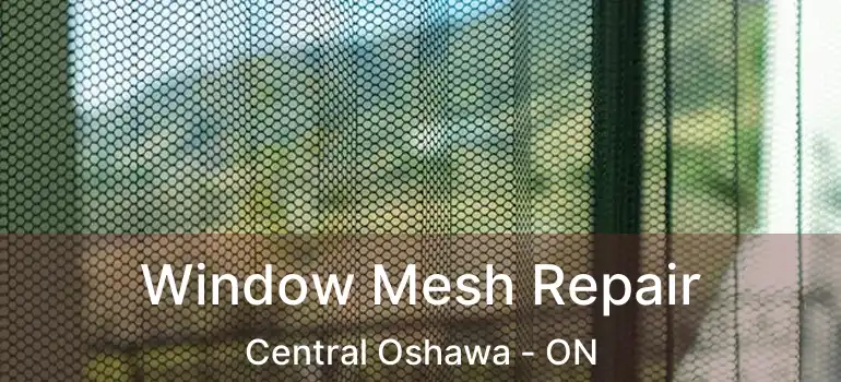  Window Mesh Repair Central Oshawa - ON