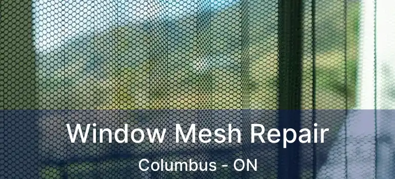  Window Mesh Repair Columbus - ON