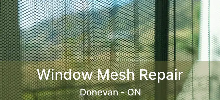  Window Mesh Repair Donevan - ON