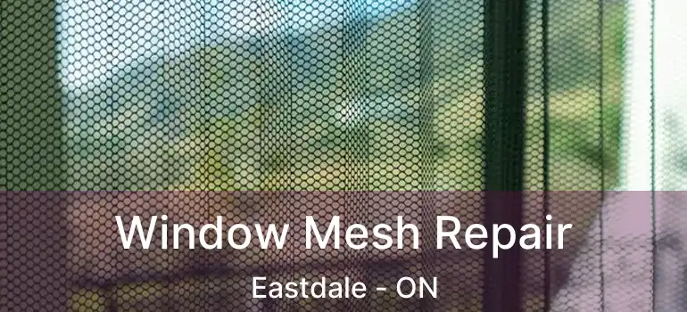  Window Mesh Repair Eastdale - ON