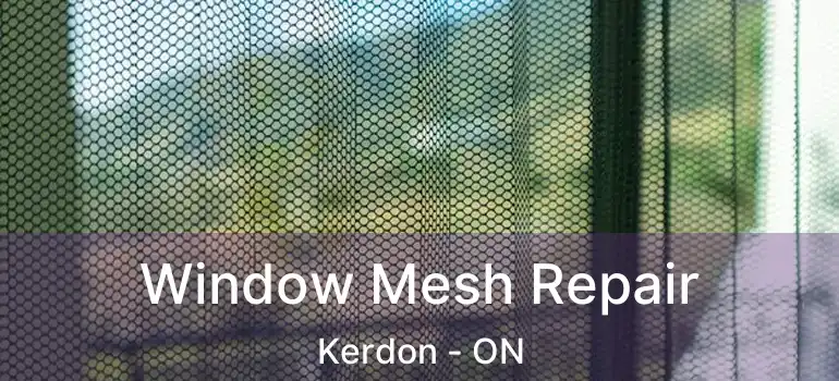  Window Mesh Repair Kerdon - ON