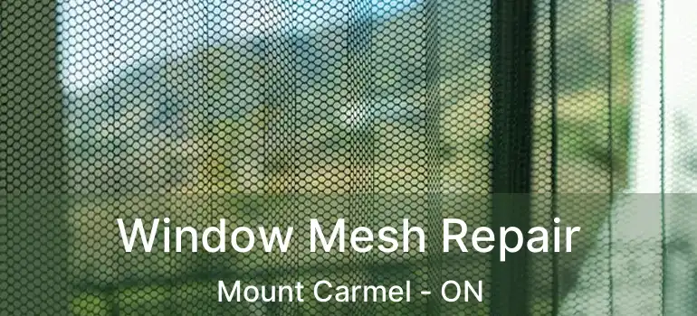  Window Mesh Repair Mount Carmel - ON