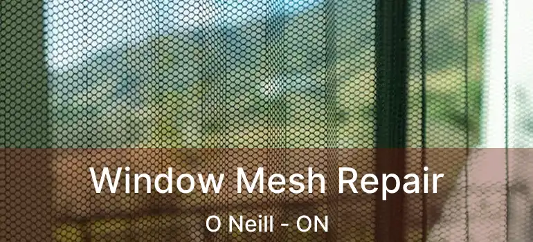  Window Mesh Repair O Neill - ON