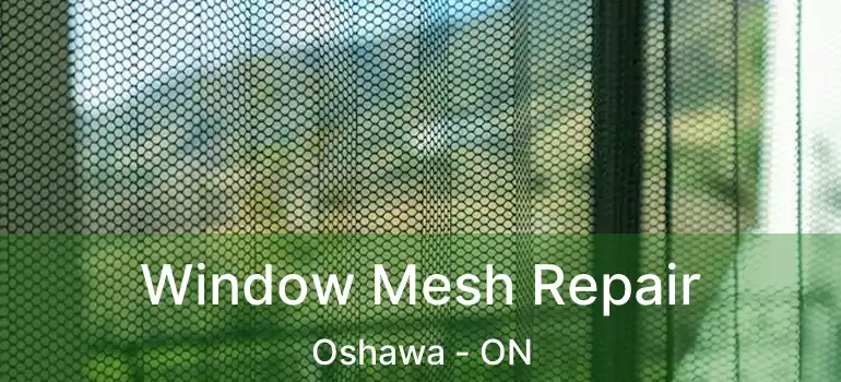  Window Mesh Repair Oshawa - ON