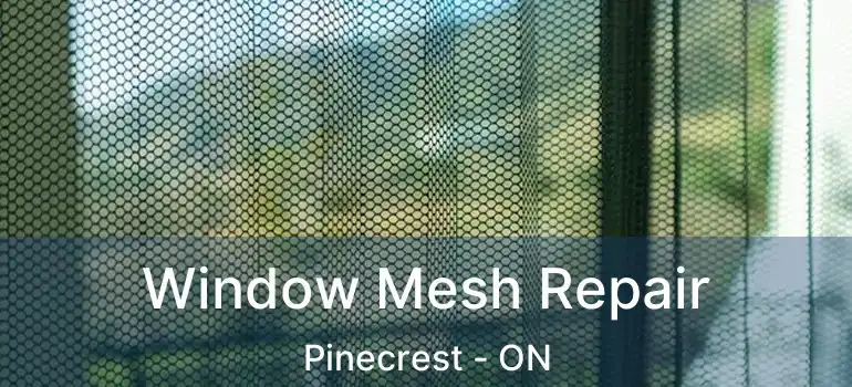  Window Mesh Repair Pinecrest - ON