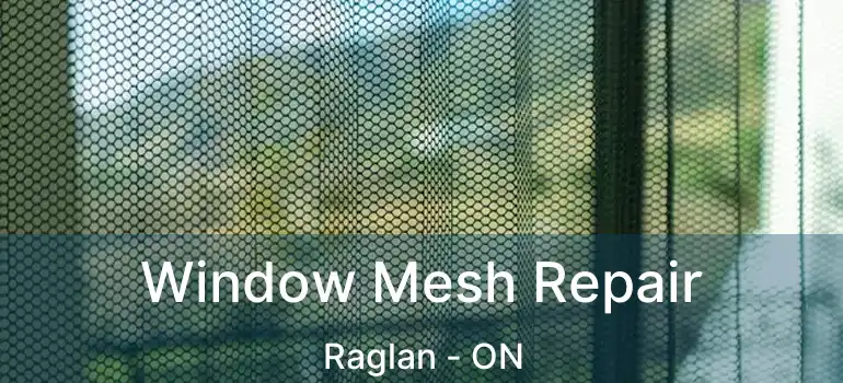  Window Mesh Repair Raglan - ON