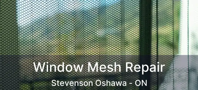  Window Mesh Repair Stevenson Oshawa - ON