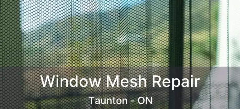  Window Mesh Repair Taunton - ON