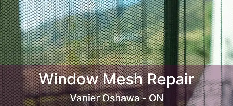  Window Mesh Repair Vanier Oshawa - ON