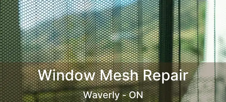  Window Mesh Repair Waverly - ON