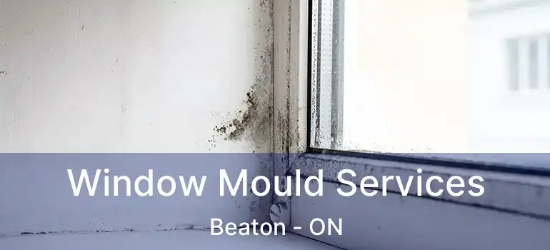  Window Mould Services Beaton - ON