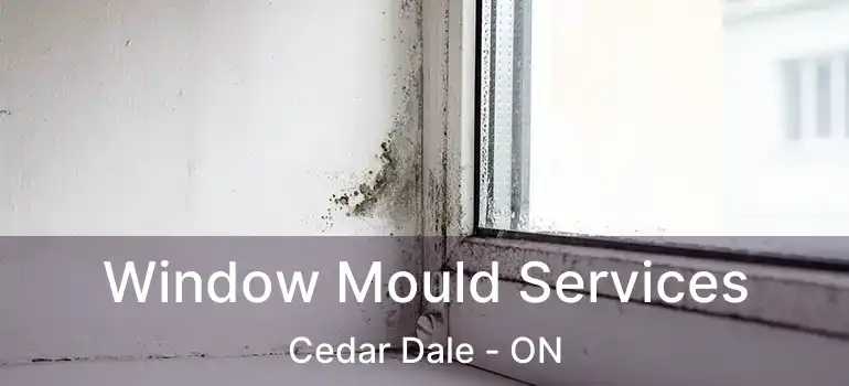  Window Mould Services Cedar Dale - ON