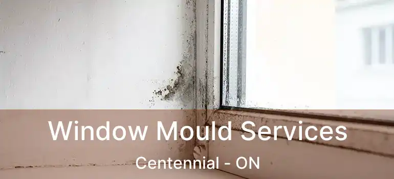  Window Mould Services Centennial - ON