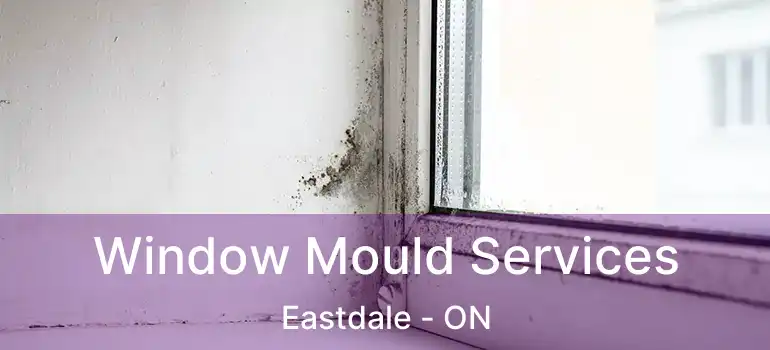  Window Mould Services Eastdale - ON