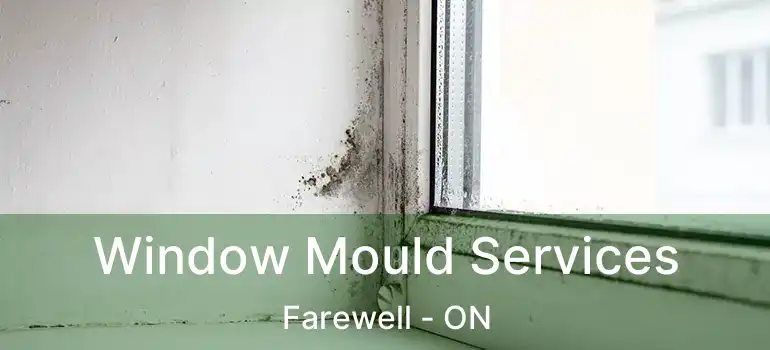  Window Mould Services Farewell - ON