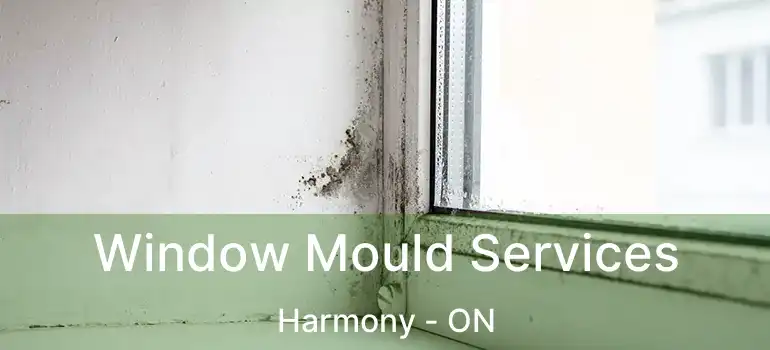  Window Mould Services Harmony - ON