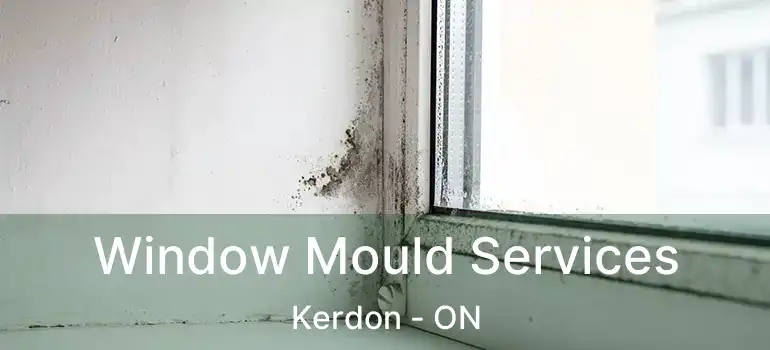  Window Mould Services Kerdon - ON