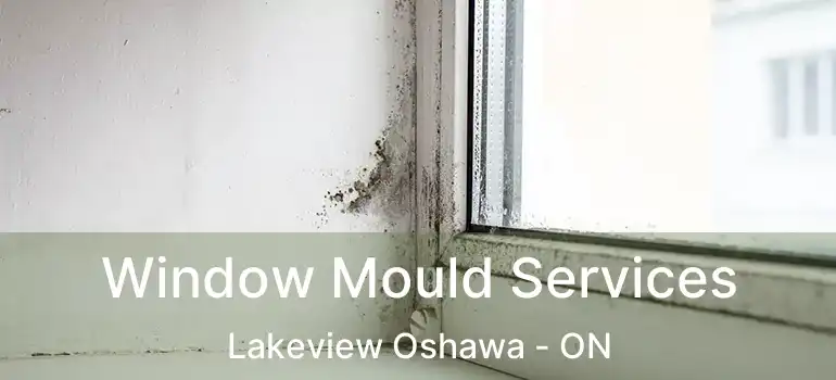  Window Mould Services Lakeview Oshawa - ON