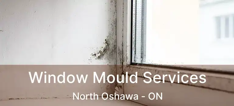  Window Mould Services North Oshawa - ON