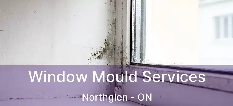  Window Mould Services Northglen - ON