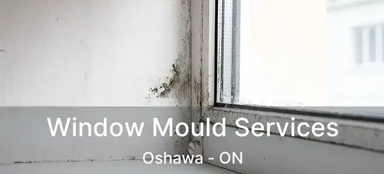  Window Mould Services Oshawa - ON