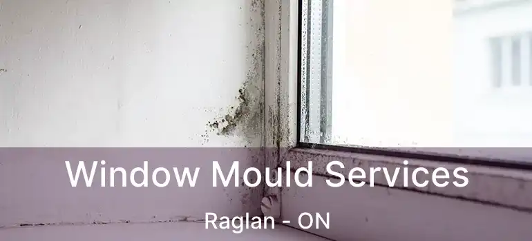  Window Mould Services Raglan - ON