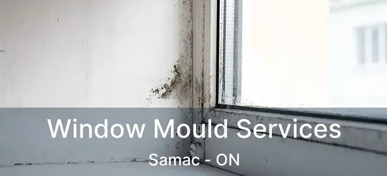  Window Mould Services Samac - ON