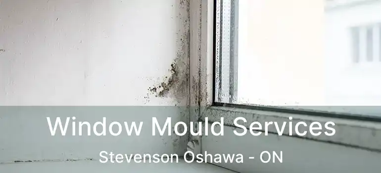  Window Mould Services Stevenson Oshawa - ON