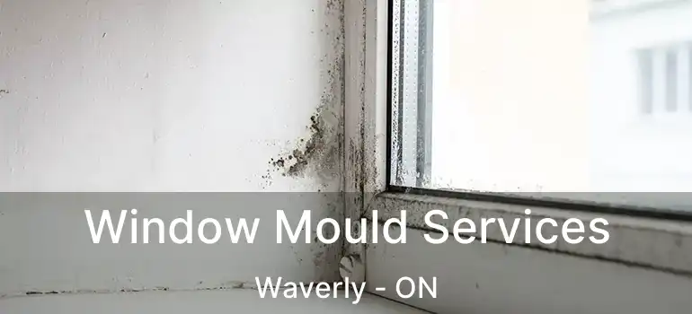  Window Mould Services Waverly - ON