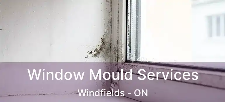  Window Mould Services Windfields - ON