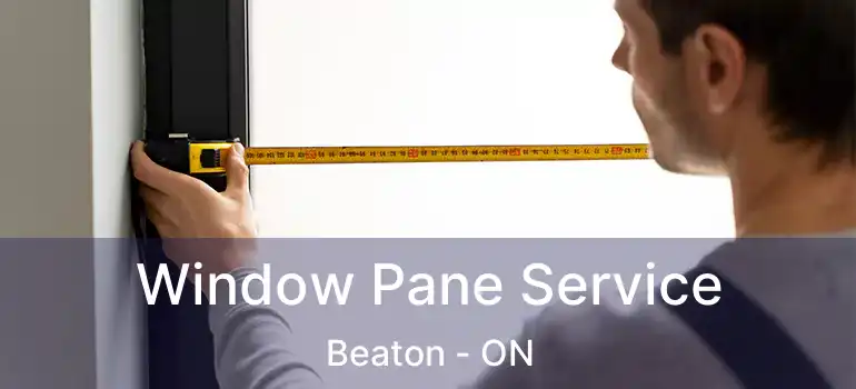  Window Pane Service Beaton - ON