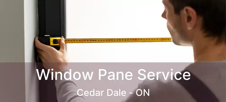  Window Pane Service Cedar Dale - ON