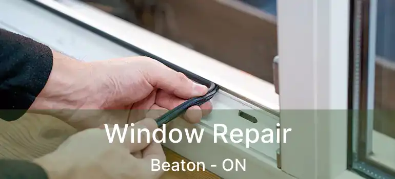  Window Repair Beaton - ON