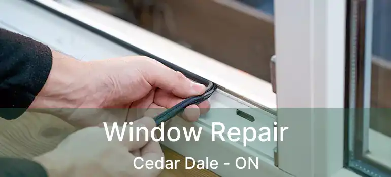  Window Repair Cedar Dale - ON