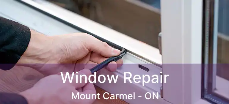  Window Repair Mount Carmel - ON