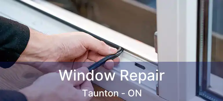  Window Repair Taunton - ON