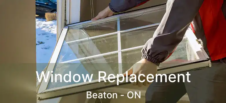  Window Replacement Beaton - ON