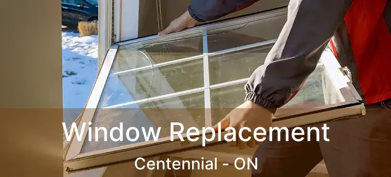  Window Replacement Centennial - ON