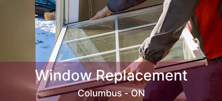  Window Replacement Columbus - ON