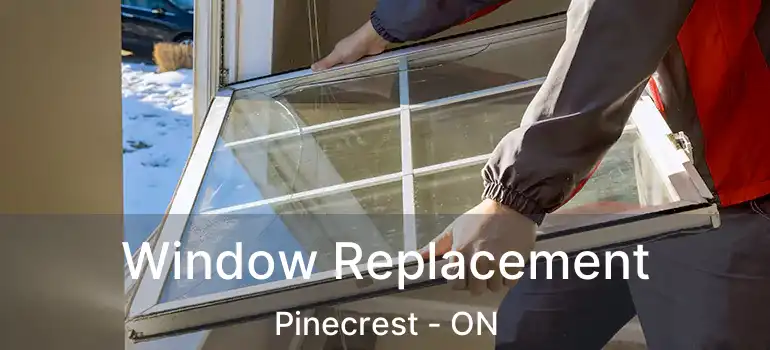  Window Replacement Pinecrest - ON