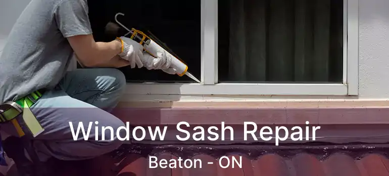  Window Sash Repair Beaton - ON