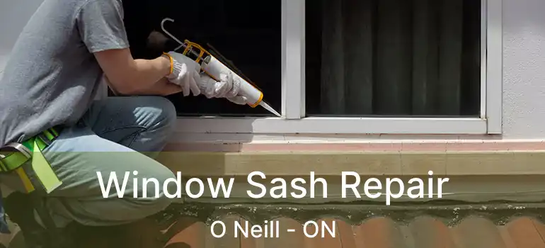  Window Sash Repair O Neill - ON