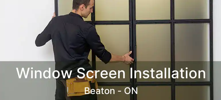  Window Screen Installation Beaton - ON