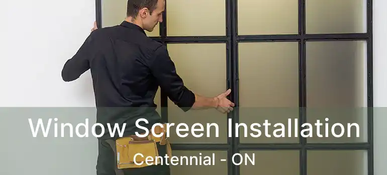  Window Screen Installation Centennial - ON