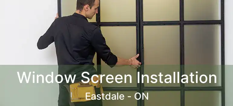  Window Screen Installation Eastdale - ON